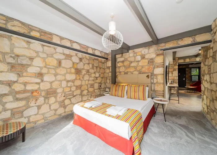 Pet friendly Amazing Flat Near Hadrians Gate Apartment Antalya