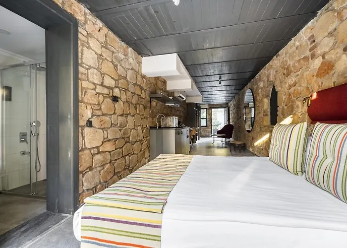 Pet friendly Marvelous Studio Flat Near Hadrians Gate Antalya