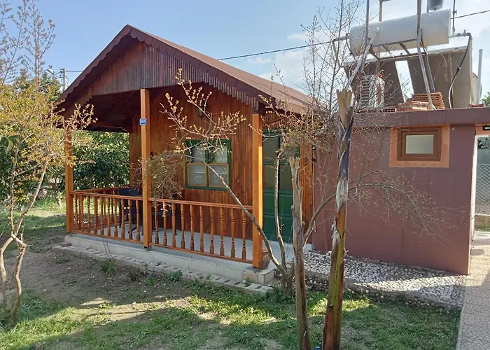 Pet friendly Bungalow With Access To A Large Garden Near Beach Kemer