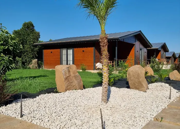 Pet friendly Cirali Simge Holiday Houses