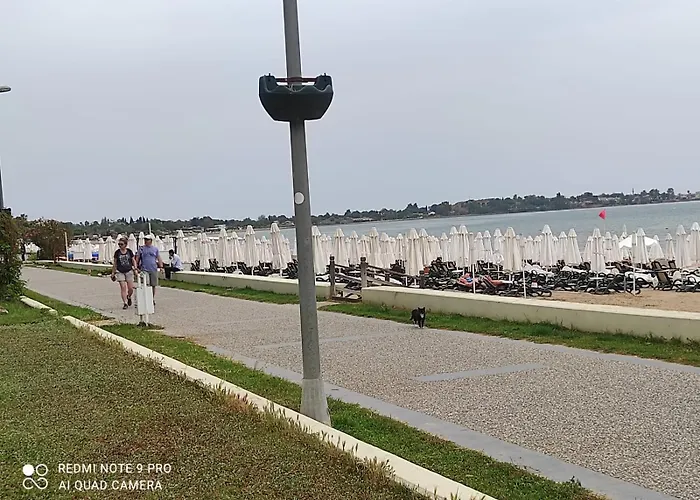 Pet friendly Seaside Apertmant City Centre Apartment