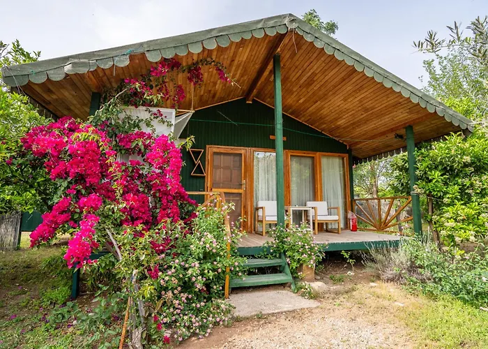 Etenna Beach Bungalows Cirali