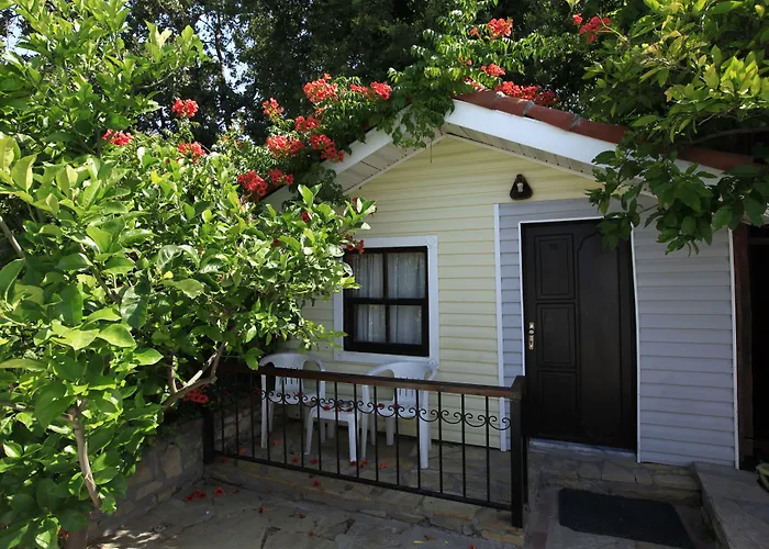 Leda Beach Hotel Side
