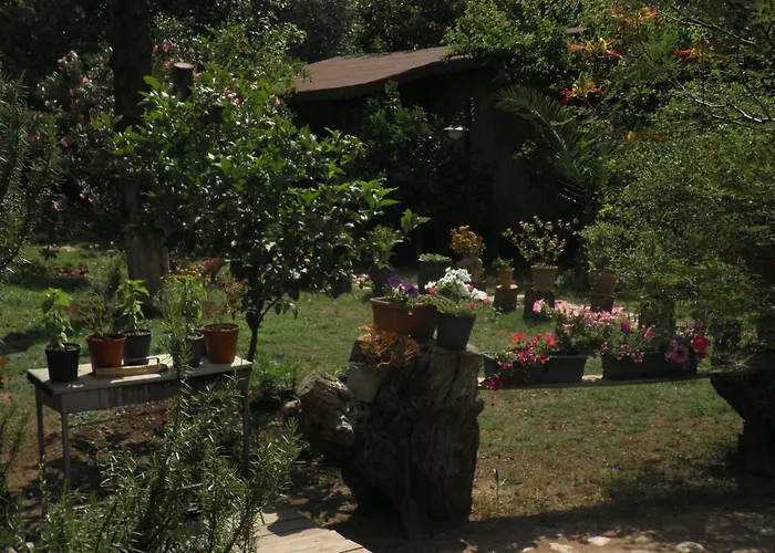Pet friendly Kibala Hotel Cirali