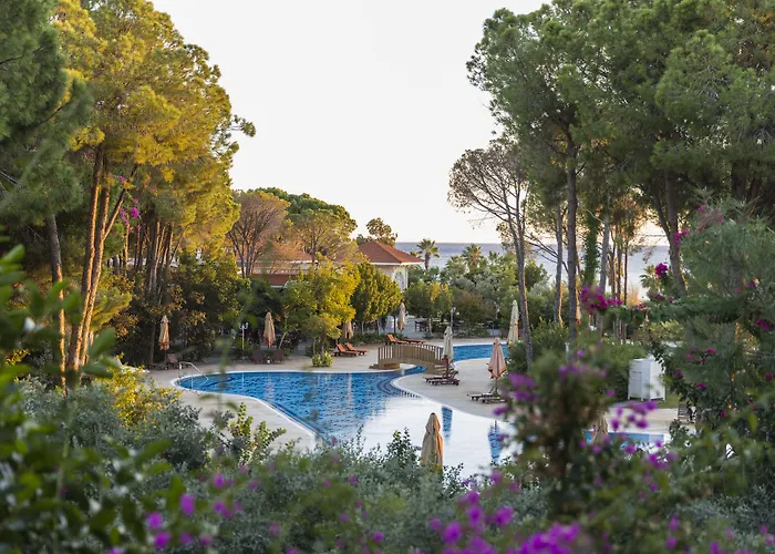 Side Hotels With Pool