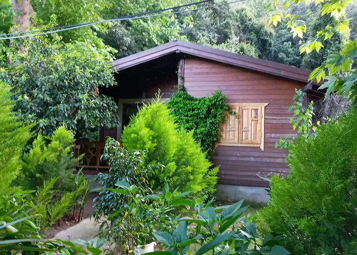 Pet friendly Maji Village Cirali