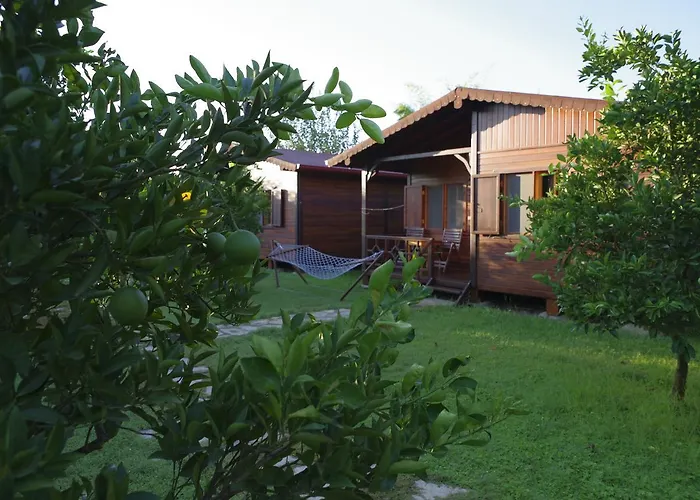 Ozge Bungalow Hotel Cirali