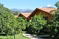 Pet friendly Azra Villas Cirali